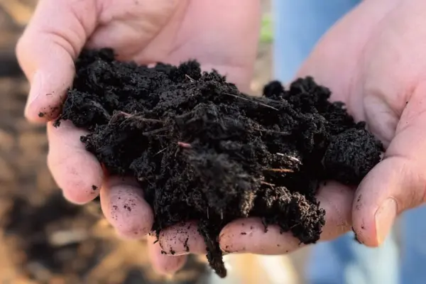 「ゴミ」ではなく「循環する資源」に