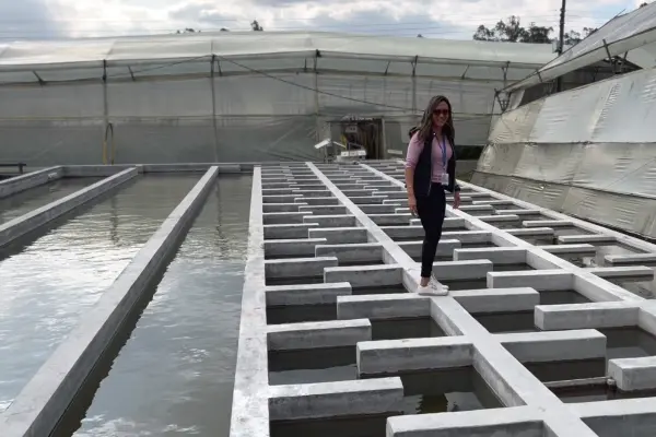 誰もが安全な水を利用できるように