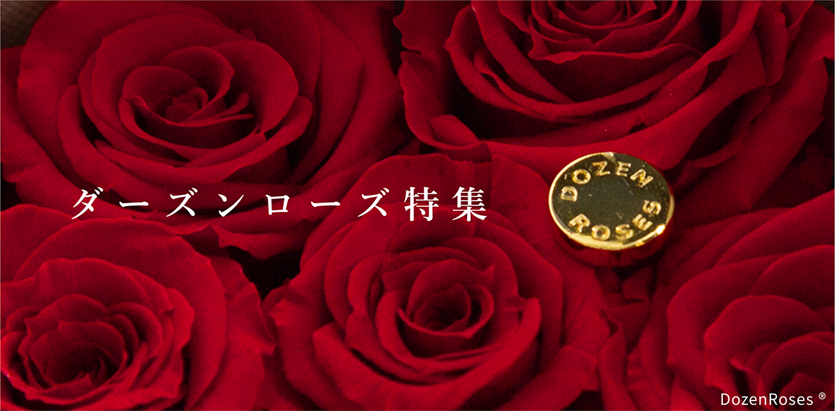 ダーズンローズ特集