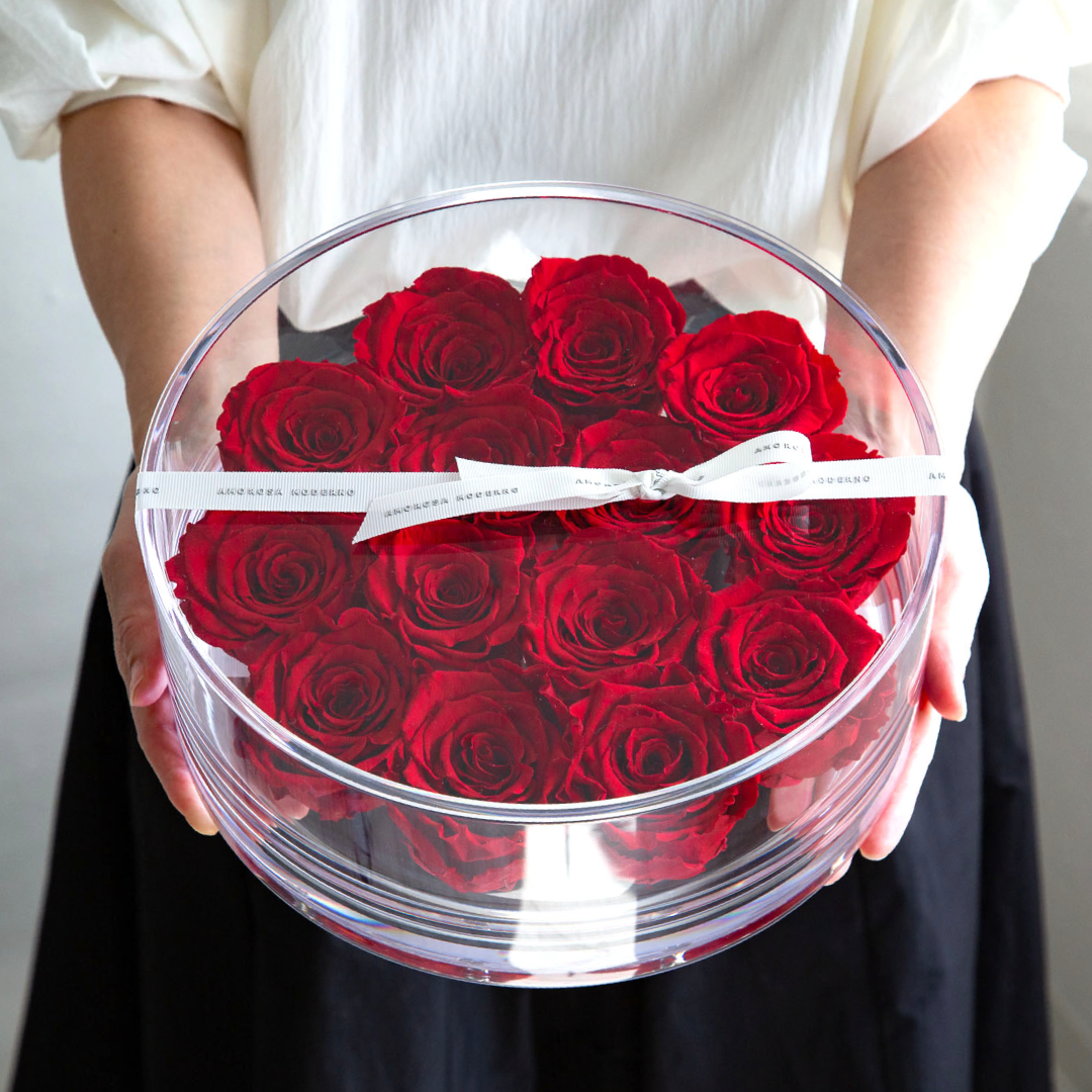 ブリリアント（L）レッド