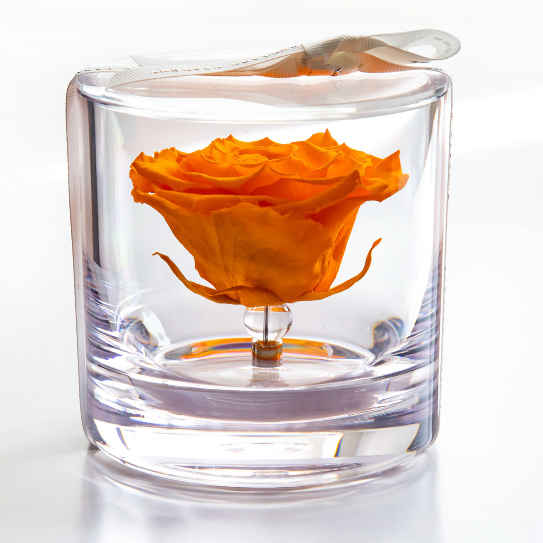 ブリリアント（S)オレンジ