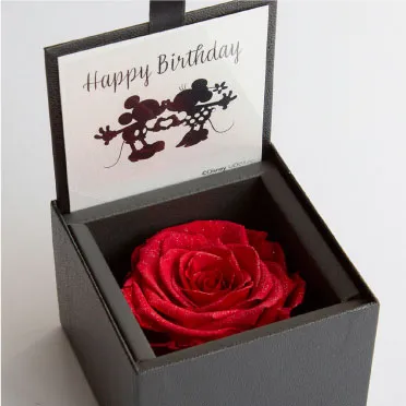 ダイヤモンドローズディズニーエディション(85)/Happy Birthday