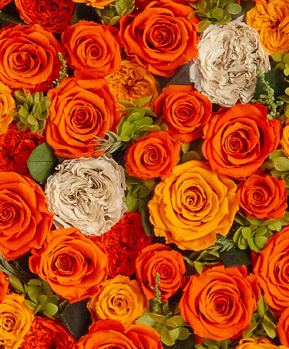 エネルギーと癒しを与えくれるオレンジの薔薇