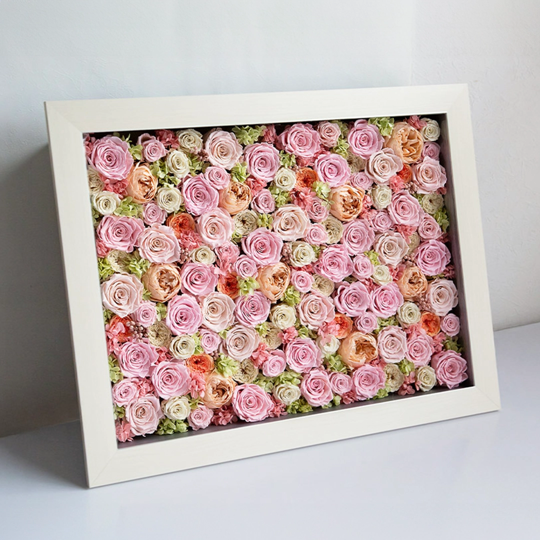 パナッシュ(67-52)/ピンク108本