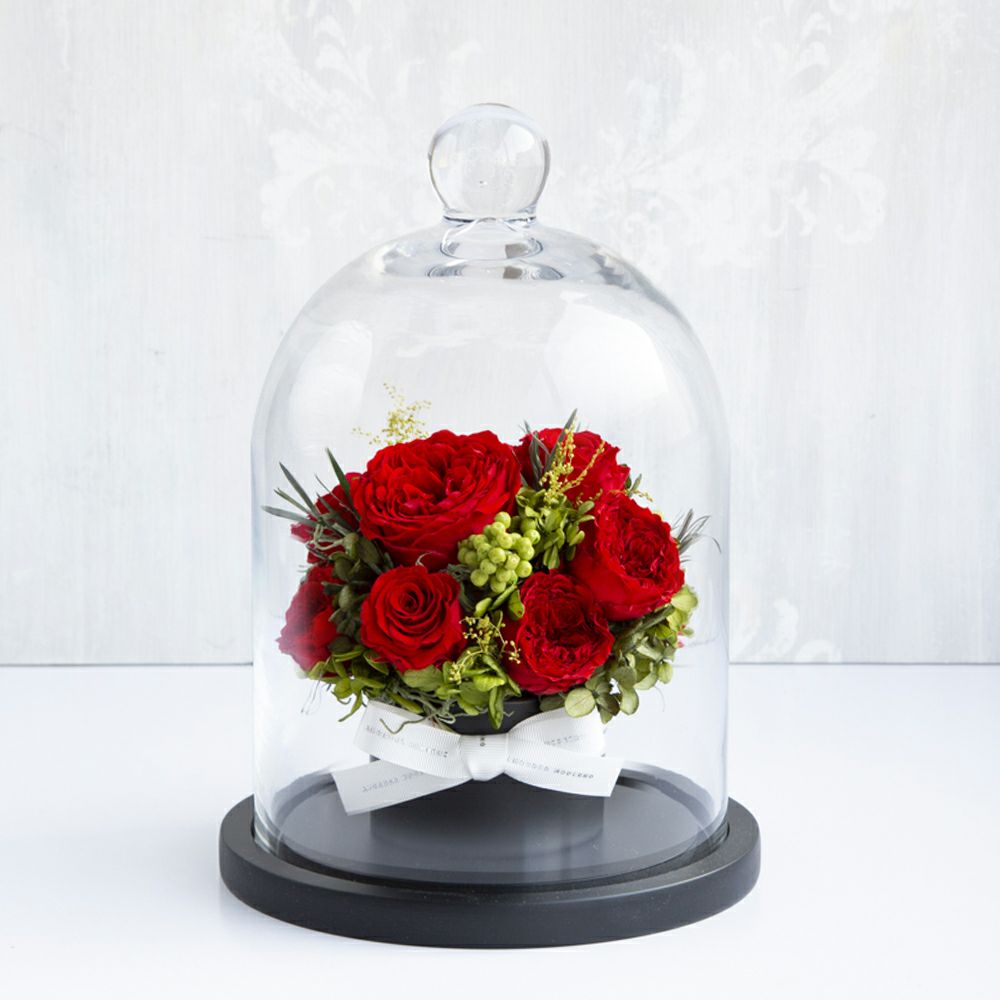 チェリッシュ(M)/レッド