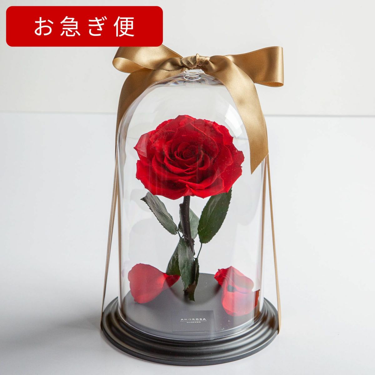 24金コーティングローズ　生花薔薇 ローズ  プリザーブドフラワー
