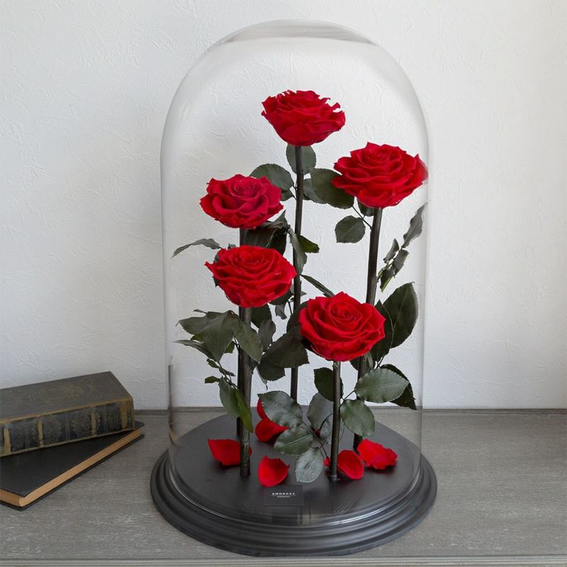 デスティニーローズ(5本立ち)/ブライトレッド （プリザーブドフラワー