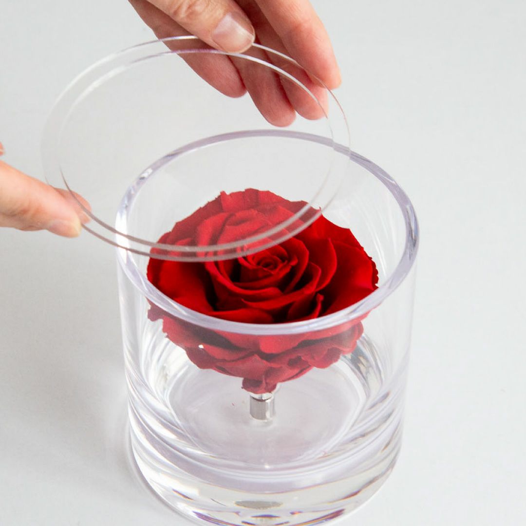 ブリリアント(S)/レッド （プリザーブドフラワー） | 最高級