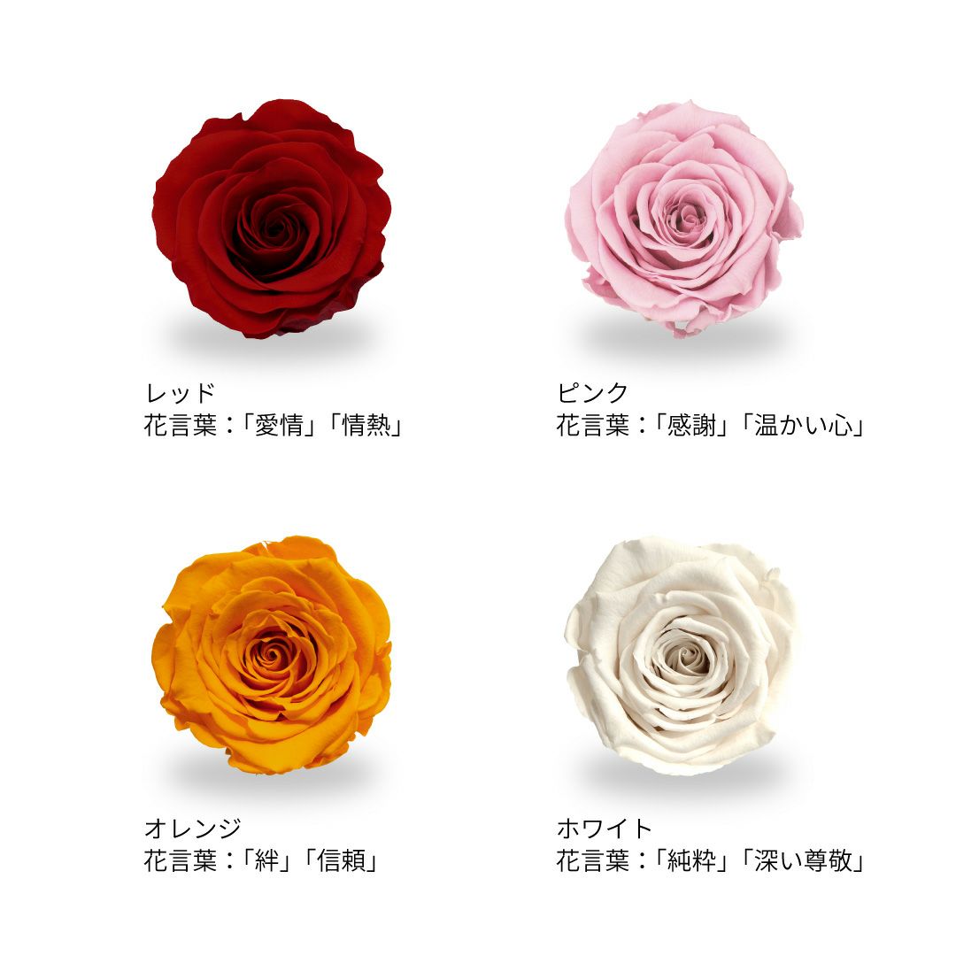 ブリリアント(S)/レッド （プリザーブドフラワー） | 最高級