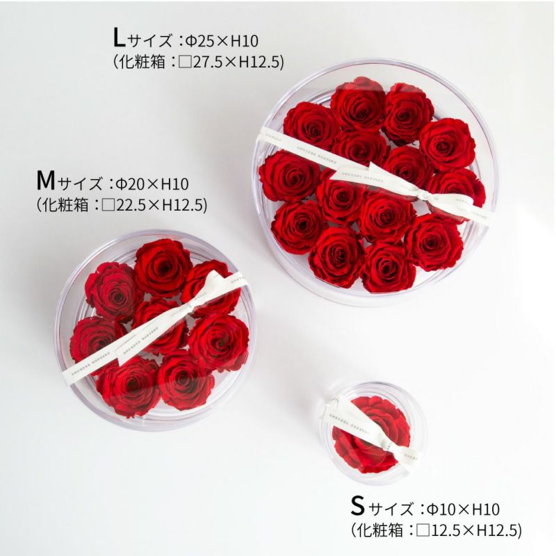 ブリリアント(L)/レッド （プリザーブドフラワー） | 最高級