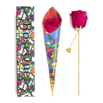 000000000260-01-m.jpg?t=