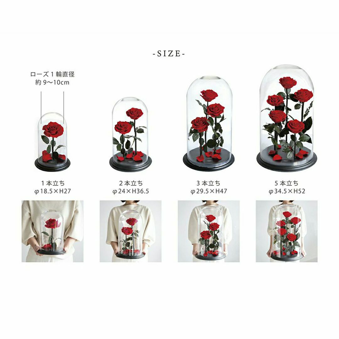 デスティニーローズ(1本立ち)/ブライトレッド （プリザーブドフラワー