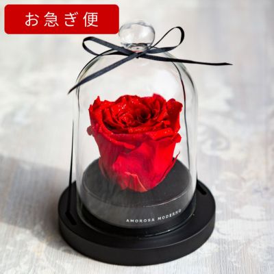 000000000276-01-m.jpg?t=