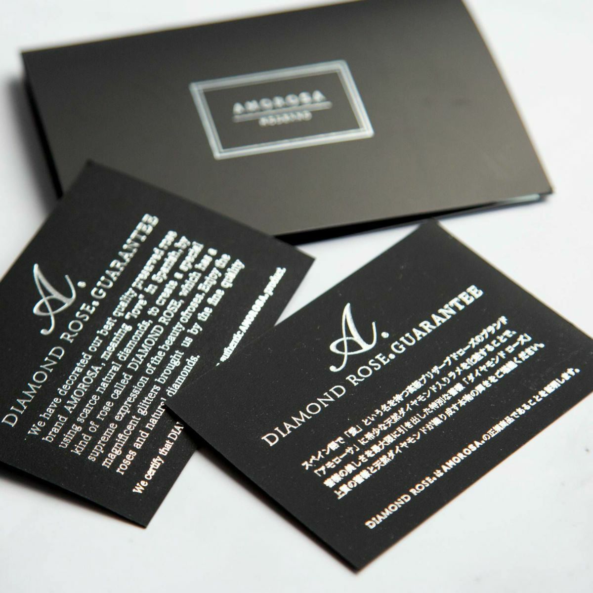 000000000340-08-l.jpg?t=