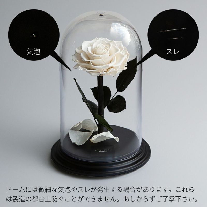新品　定価24,750円　カロリナグレイサー　フラワーリボン ブルゾン　ホワイト CAROLINA GLASER（カロリナ グレイサー）フラワーリボン