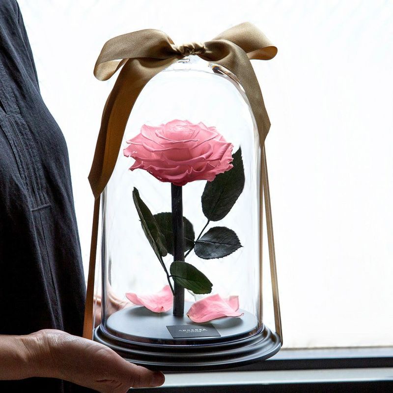 デスティニーローズ(1本立ち)/フェミニンピンク （プリザーブド