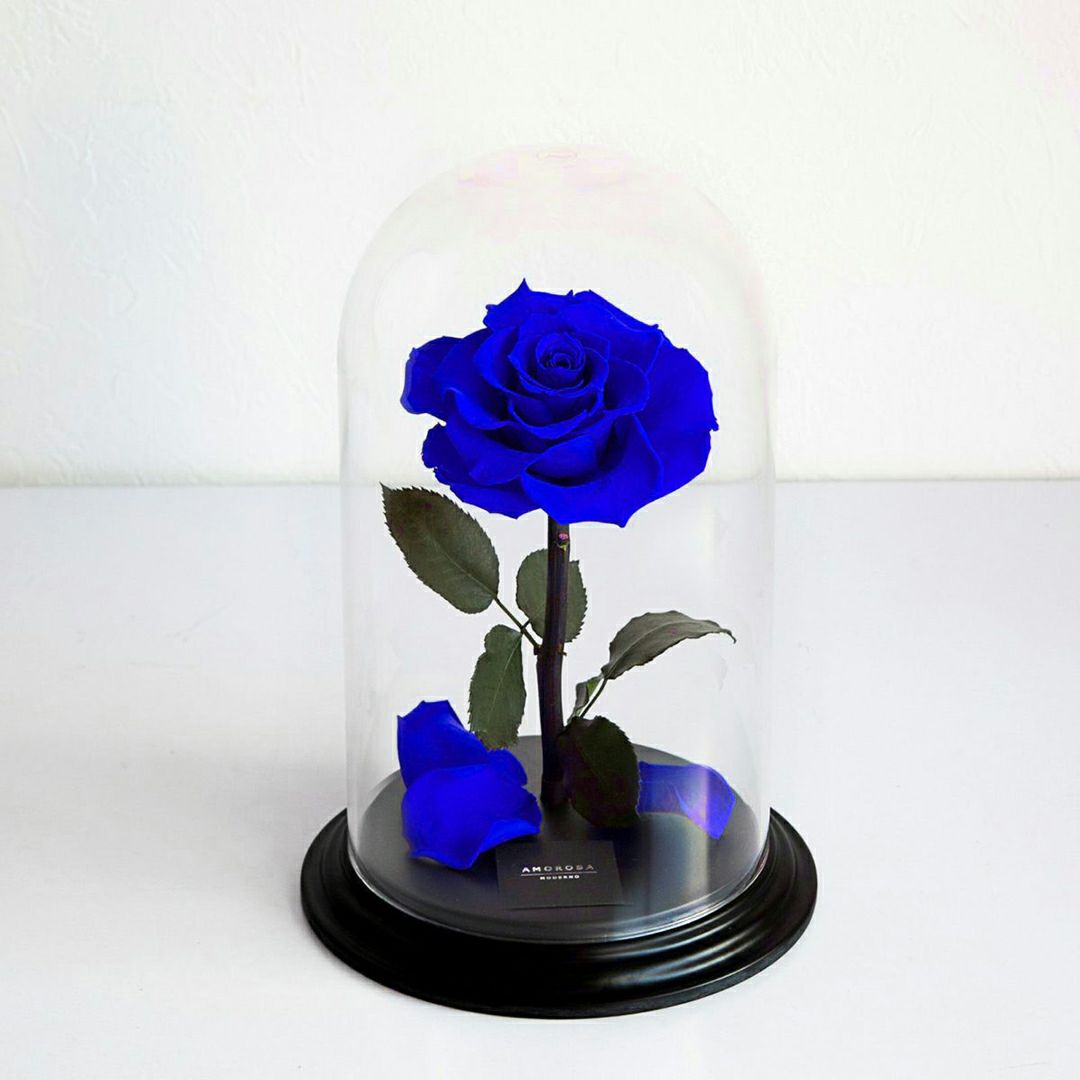 000000000429-03-l.jpg?t=