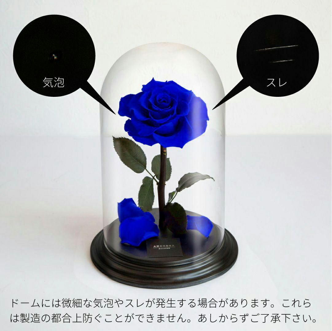 000000000429-07-l.jpg?t=