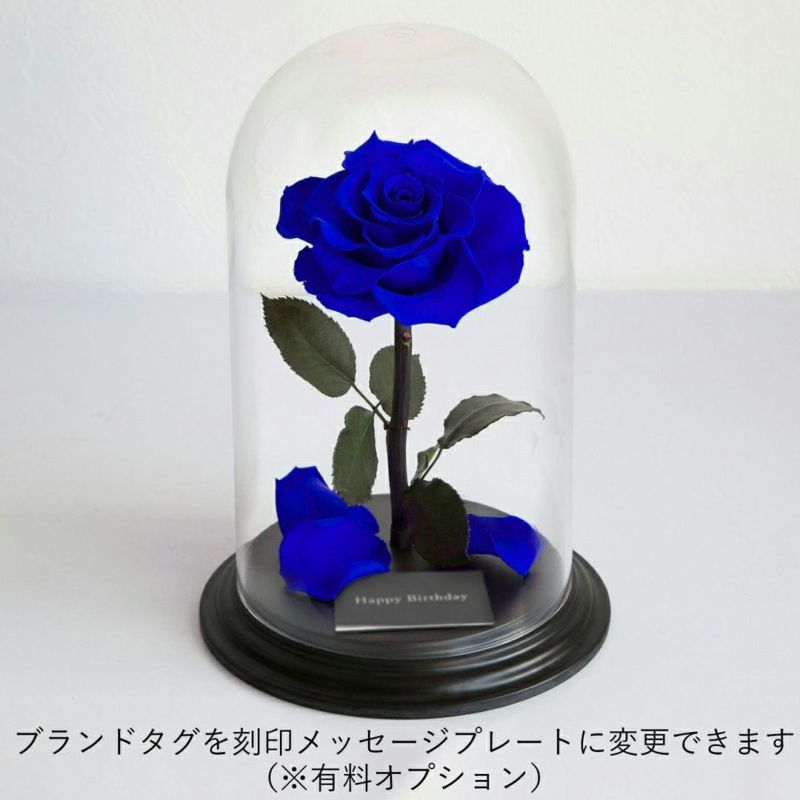 デスティニーローズ フェミニンピンク ガラスドーム付き デスティニー