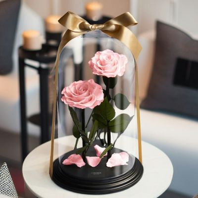 デスティニーローズ フェミニンピンク ガラスドーム付き デスティニー