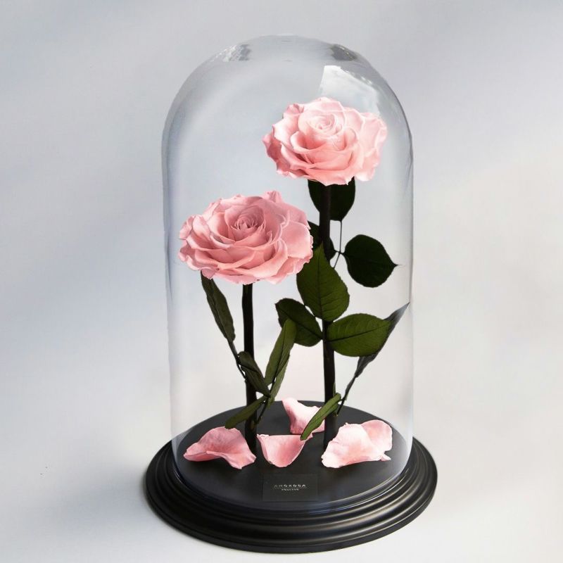 デスティニーローズ(2本立ち)/フェミニンピンク （プリザーブド