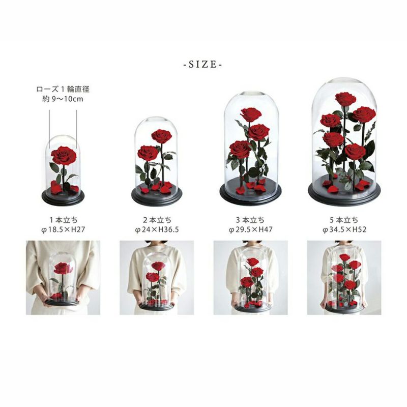 デスティニーローズ フェミニンピンク ガラスドーム付き デスティニーローズ(2本立ち)/フェミニンピンク （プリザーブド