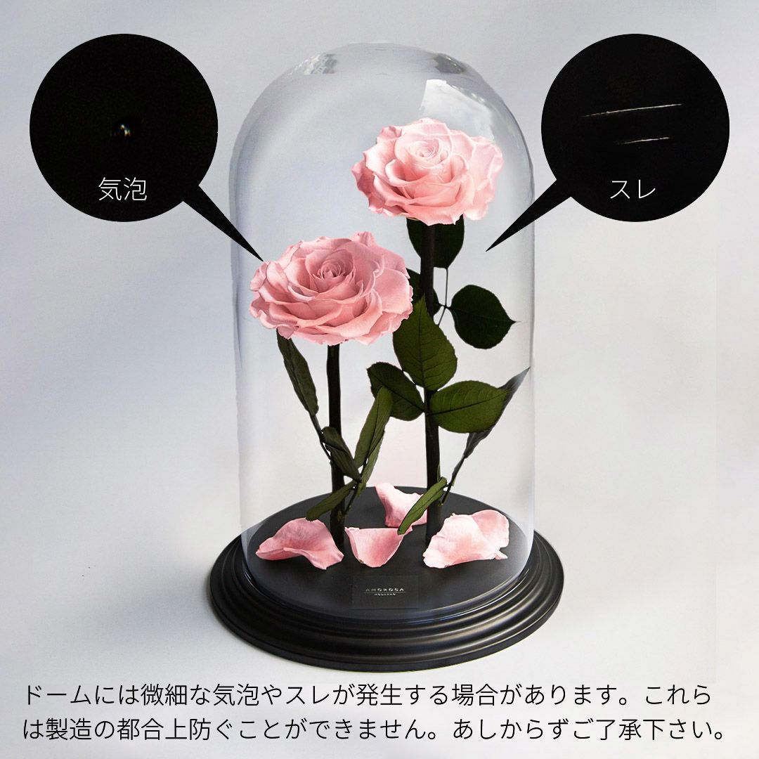 デスティニーローズ(2本立ち)/フェミニンピンク （プリザーブド