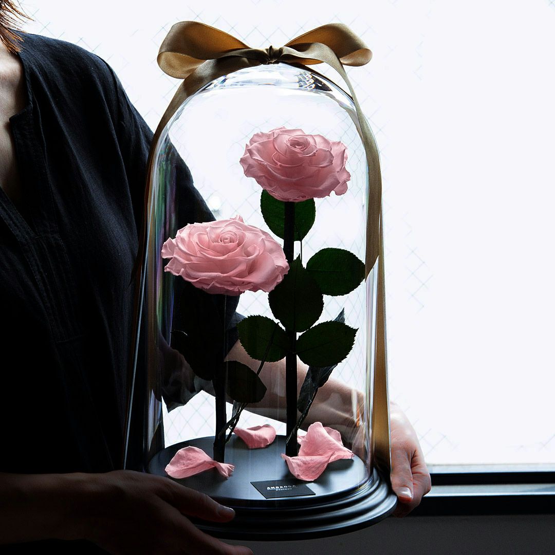 デスティニーローズ(2本立ち)/フェミニンピンク （プリザーブド