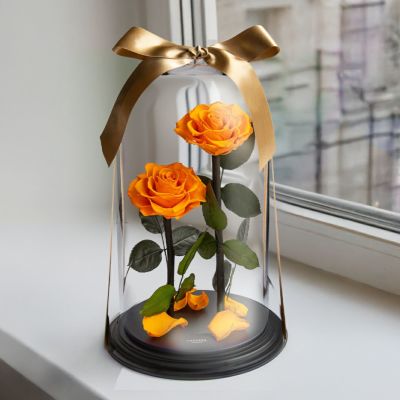 ❤️リズ・ジャーディン　薔薇絵画　ア-ト作品　美術品「ワン・フォー・ザ・ローゼズ」 デスティニーローズディズニーエディション(美女と野獣