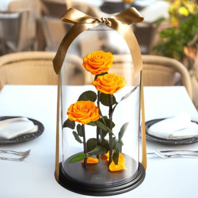 DESTINY ROSE（デスティニーローズ） | 最高級プリザーブドフラワーの