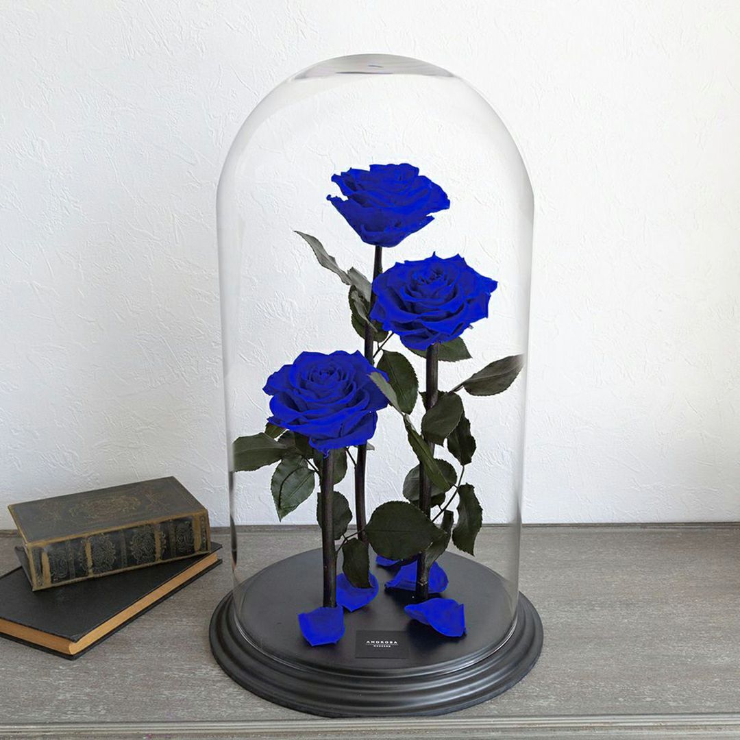 デスティニーローズ(3本立ち)/エクセレントブルー （プリザーブド