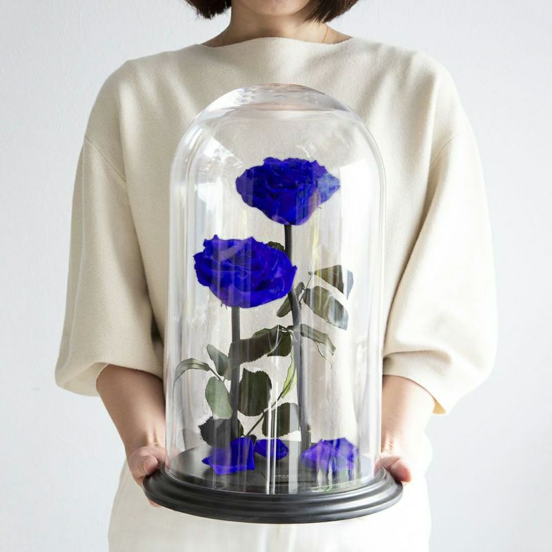 2連番セット　PSA10 ベスリーローズディズリー　リセ　プロモ　サイン 2連番セット PSA10 ベスリーローズディズリー リセ プロモ サイン 2連番