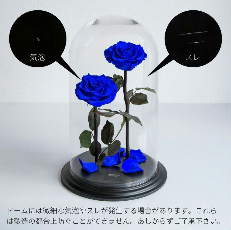 2連番セット　PSA10 ベスリーローズディズリー　リセ　プロモ　サイン 2連番セット PSA10 ベスリーローズディズリー リセ プロモ
