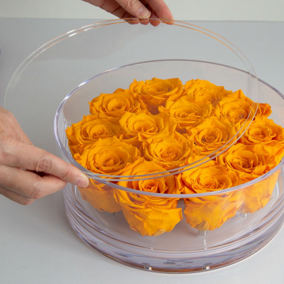 ブリリアント(L)/オレンジ （プリザーブドフラワー） | 最高級