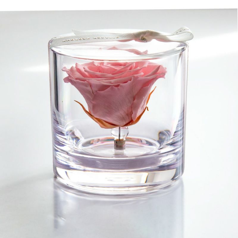 ブリリアント(S)/ピンク （プリザーブドフラワー） | 最高級