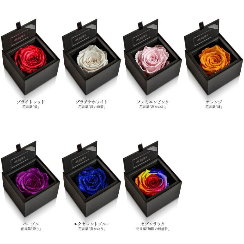 ダイヤモンドローズファーストモデル(85)/フェミニンピンク