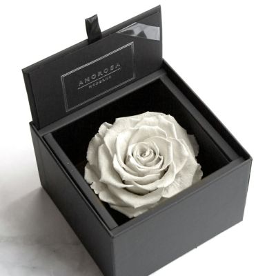 000000000497-01-m.jpg?t=