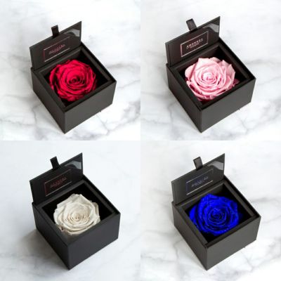 eギフト】ダイヤモンドローズディズニーエディション(85)/Happy