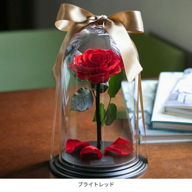 選べるeギフト】デスティニーローズ(1本立ち)(プリザーブドフラワー