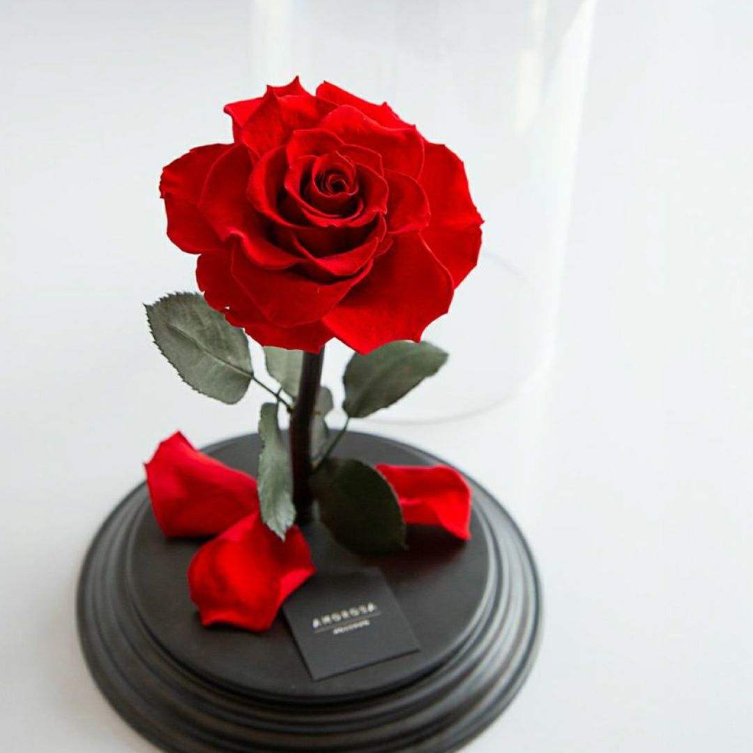 選べるeギフト】デスティニーローズ(1本立ち)(プリザーブドフラワー