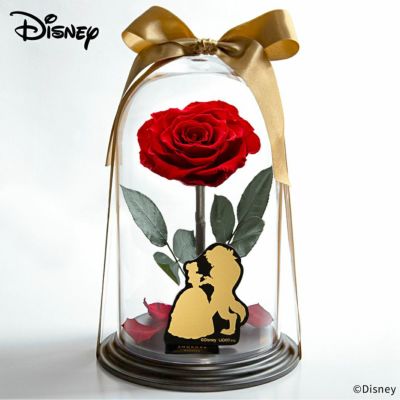 000000000543-01-m.jpg?t=