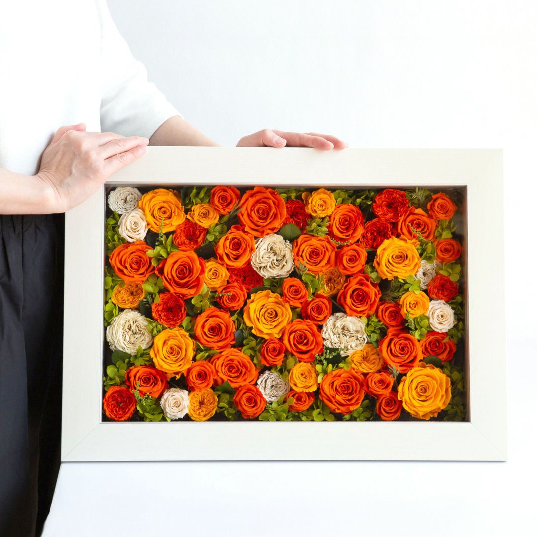 パナッシュ(W52-H37)/オレンジ60本 (プリザーブドフラワー) | 最高級