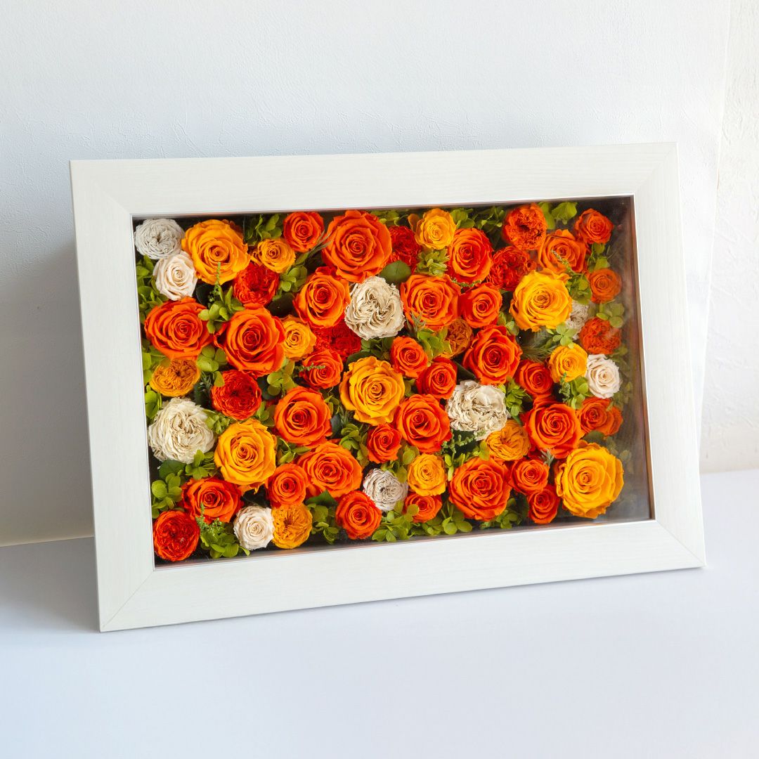 パナッシュ(52-37)/オレンジ60本 (プリザーブドフラワー) | 最高級