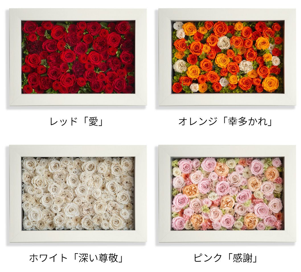 パナッシュ(52-37)/オレンジ60本 (プリザーブドフラワー) | 最高級