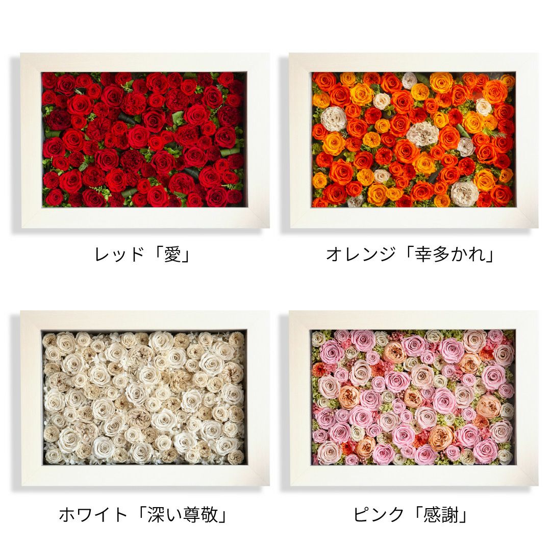パナッシュ(W57-H42)/ピンク77本（プリザーブドフラワー） | 最高級