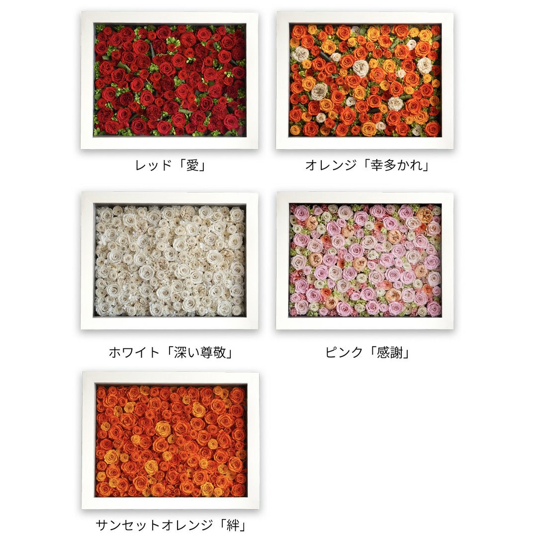 パナッシュ(67-52)/ピンク108本（プリザーブドフラワー） | 最高級